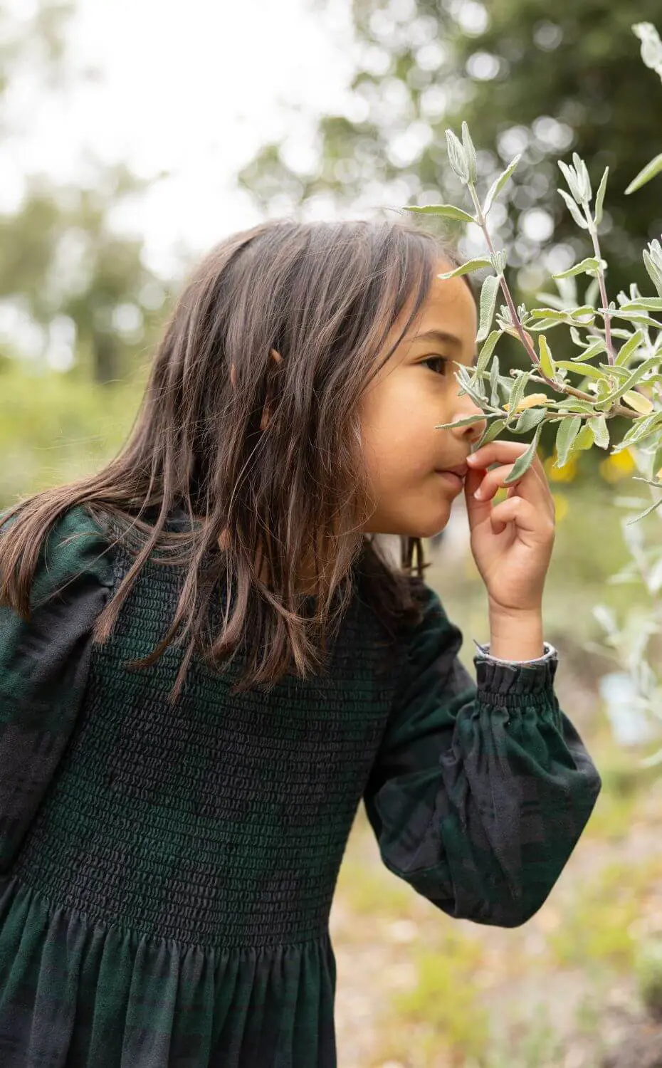 Chadwick student smells foliage on hike in Chadwick Canyon.