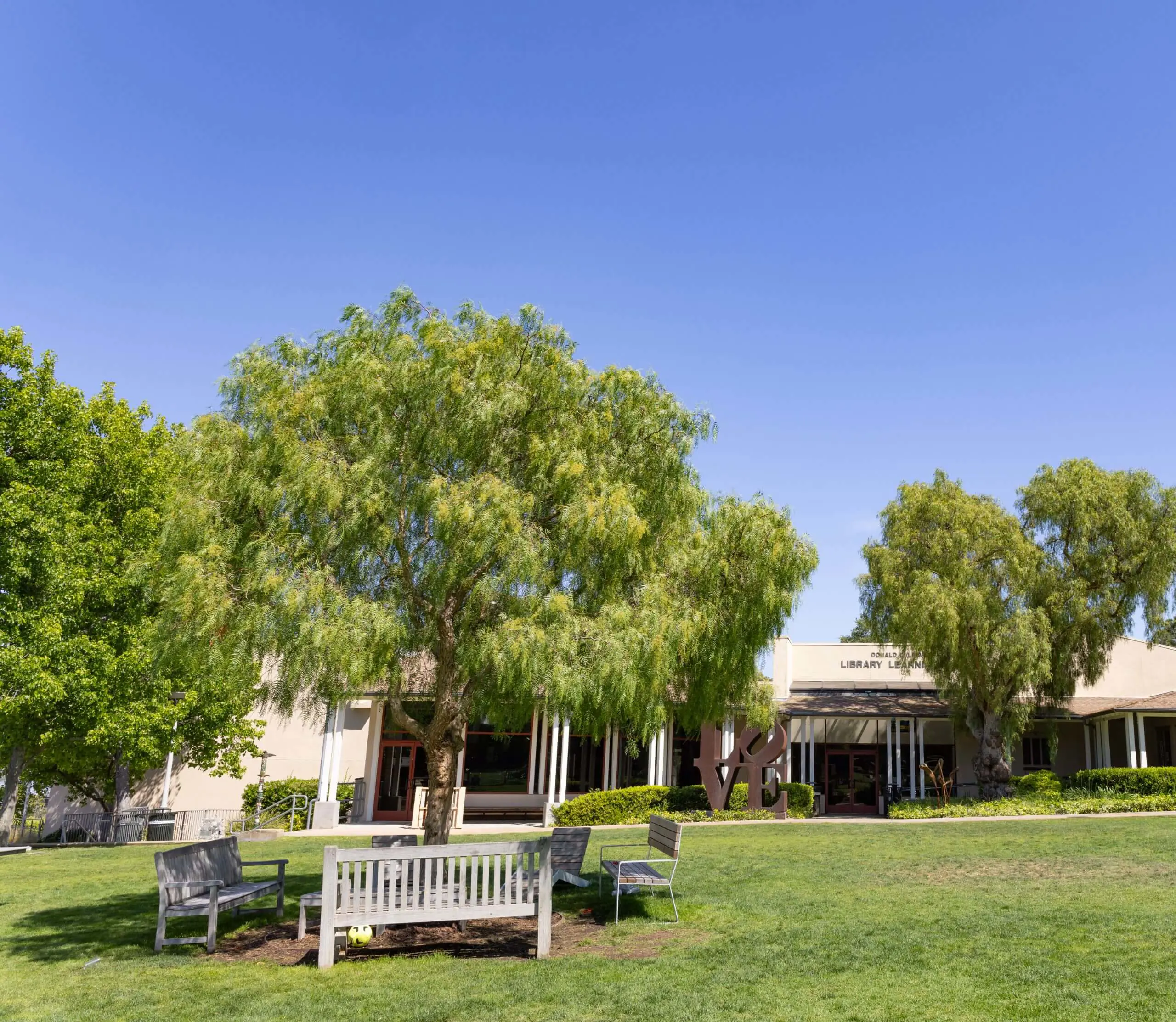 Lawn sprawls toward the Leavenworth Library, dotted with trees and a park bench.