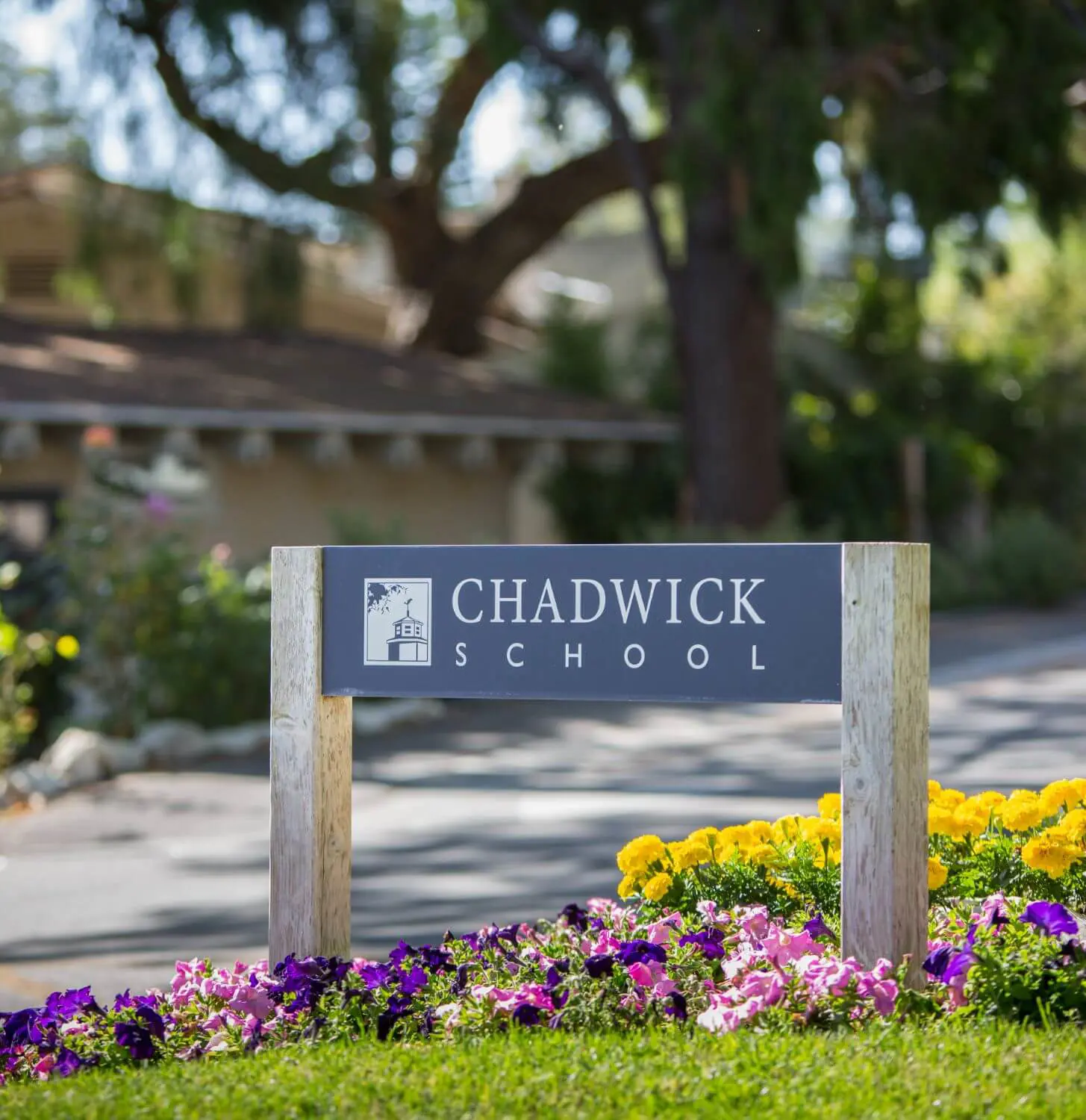 Sign that reads ”Chadwick School” sits amongst flowers with a building in the background.