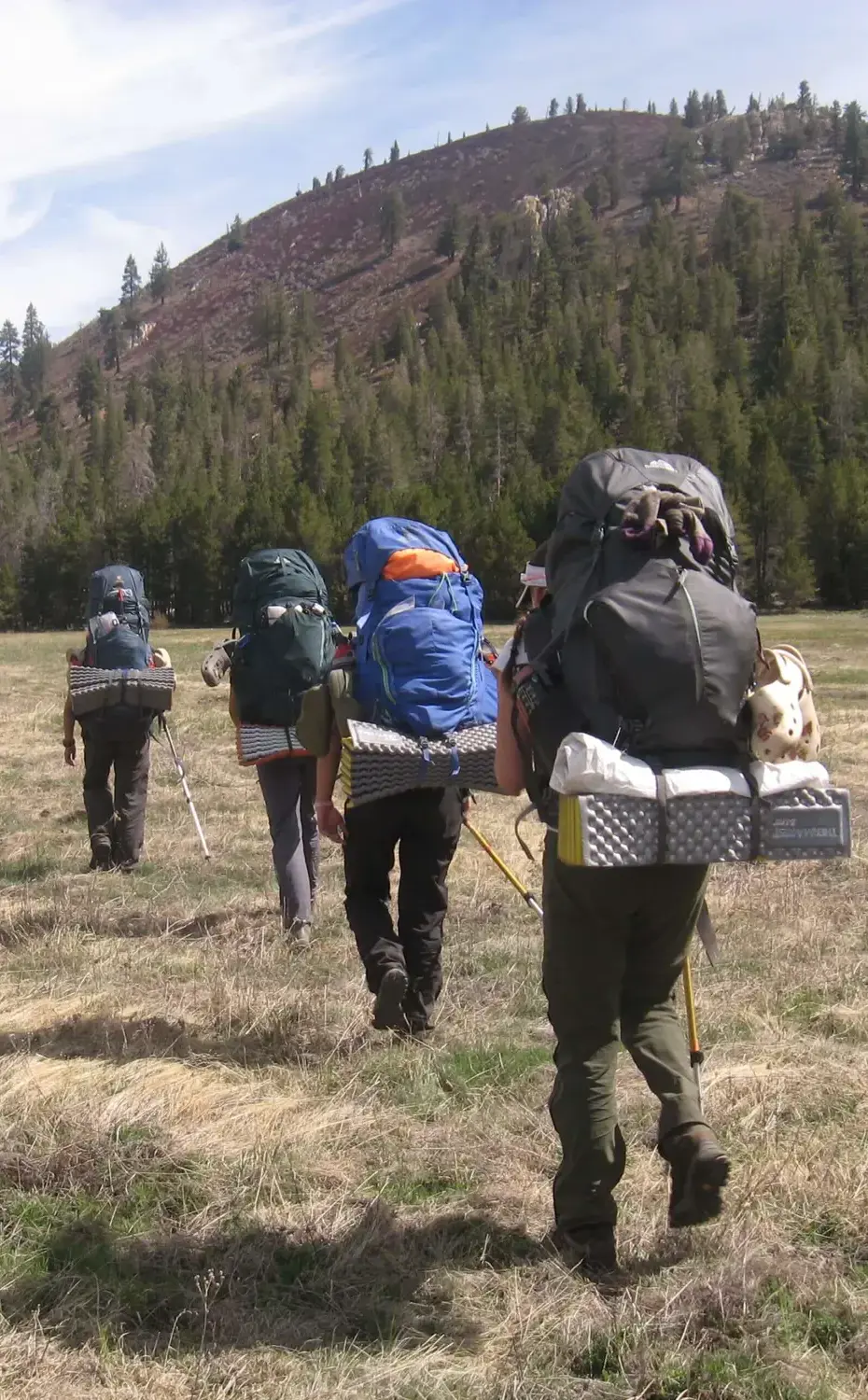 Students hike in a row in an open valley toward tree-covered hills in the Sierra Mountains.