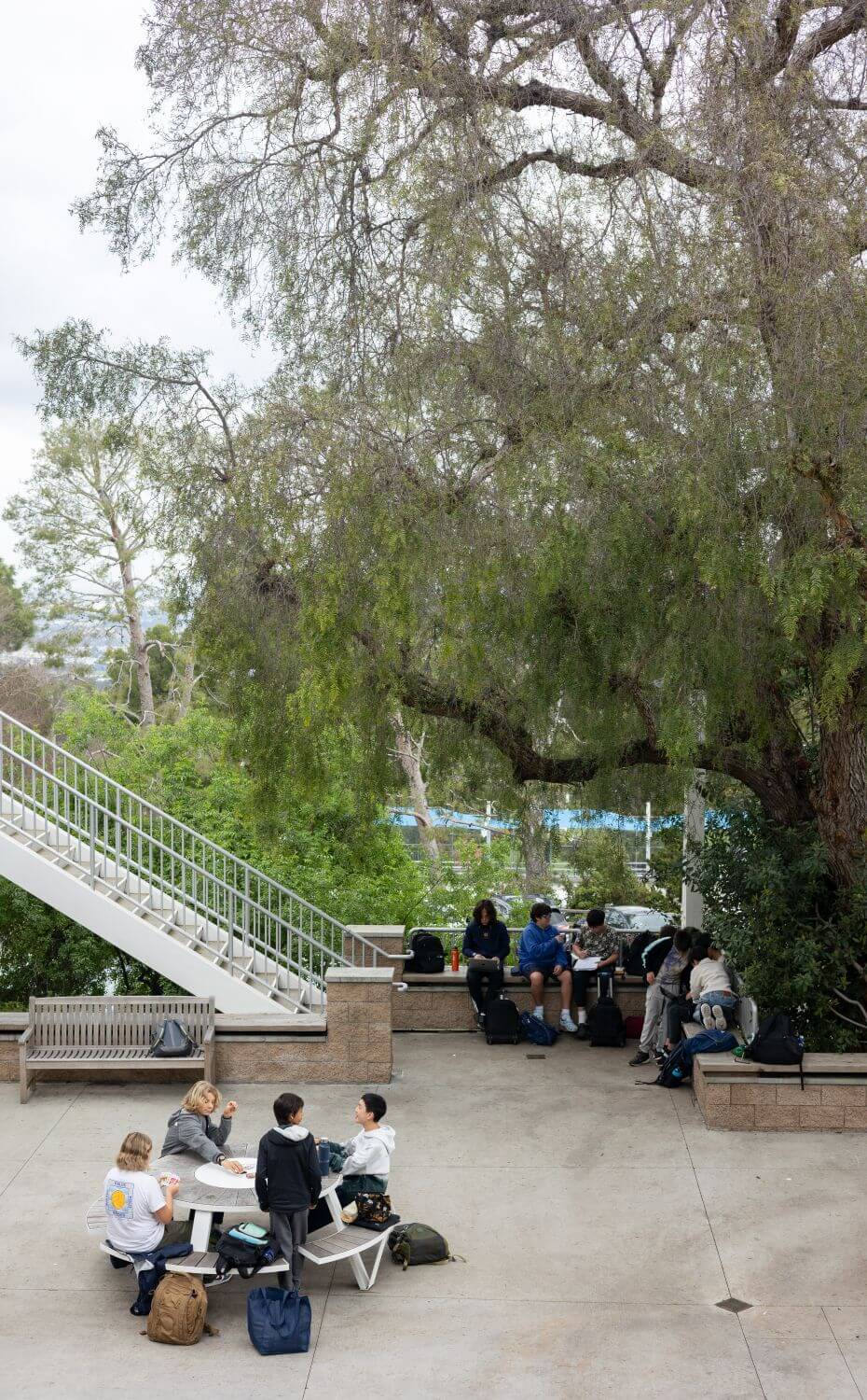 Chadwick seniors sitting on benches and studying together outside.