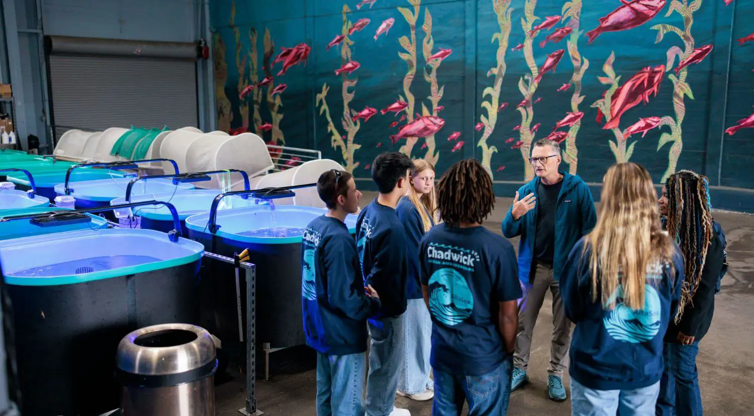 Upper School students studying seaweed in tanks at the KELP ArK with outreach and partnership associate Hayden Schneider at the Chadwick School Ocean Institute Community Learning Lab in San Pedro.