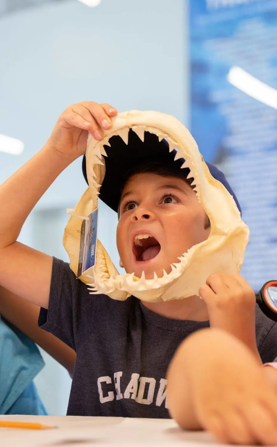 Chadwick third-grade students learn about sharks from the California State University at the School Ocean Institute Community Learning Lab.