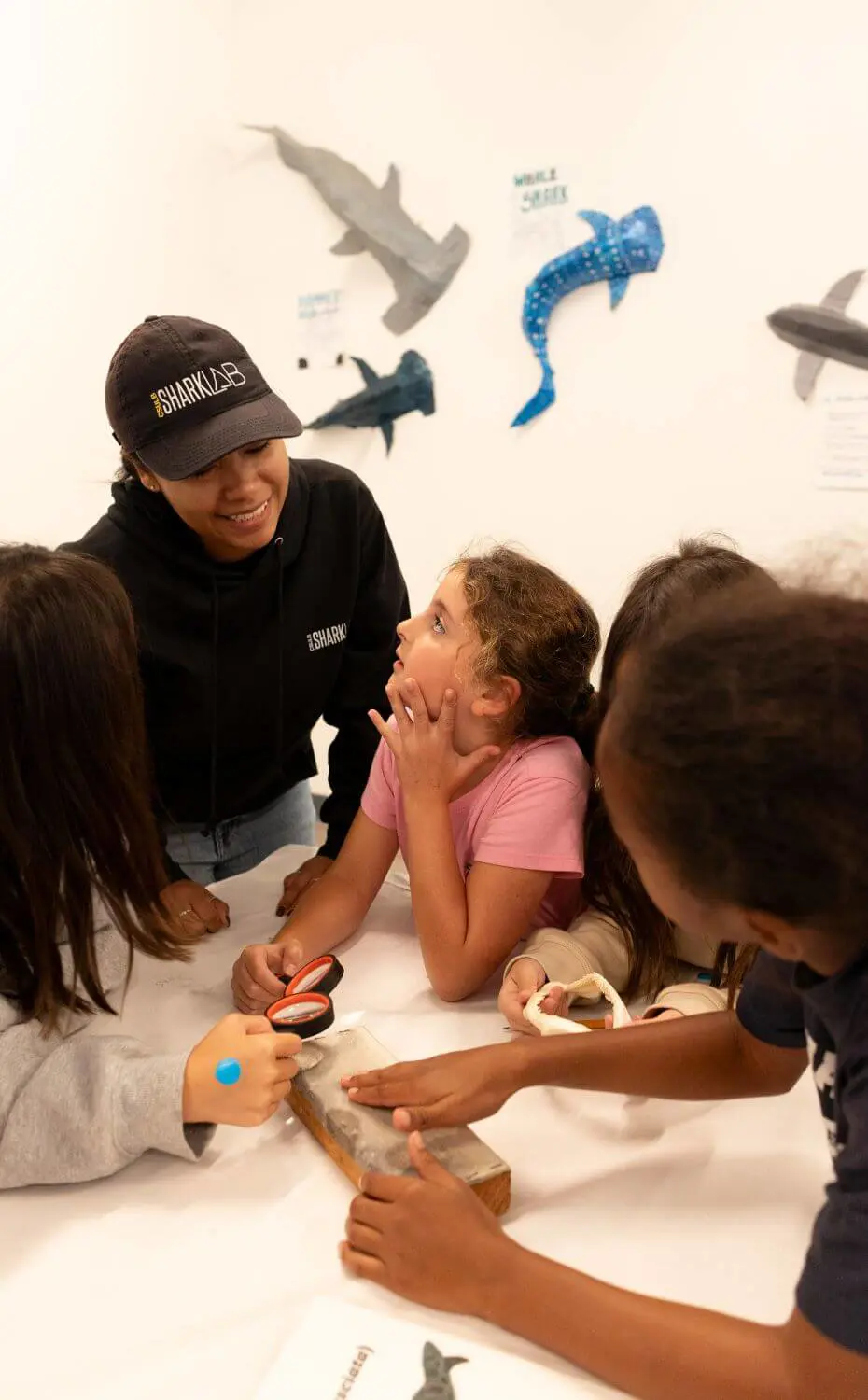 Chadwick third-grade students learn about sharks from the California State University at the School Ocean Institute Community Learning Lab.