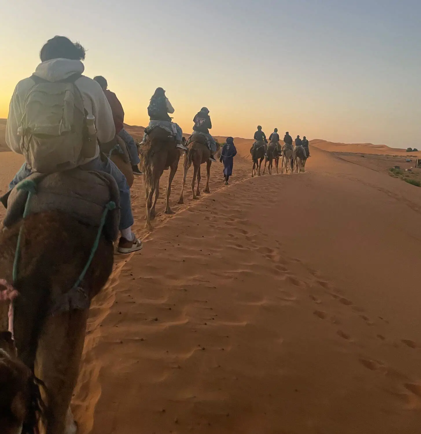 Students ride camels on the sand dunes in Morocco.