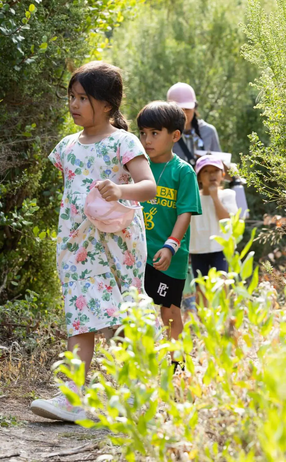 Chadwick kindergarteners spent the morning identifying native plants in Chadwick Canyon on Oct. 11, 2023.