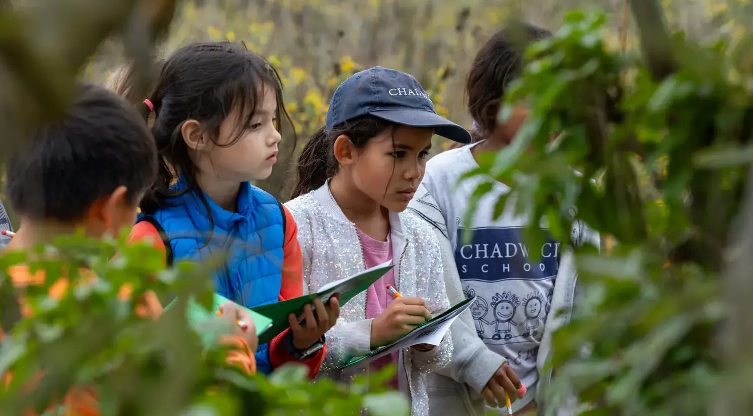 Chadwick second-graders took a field-trip to the White Point Nature Preserve to learn about and identify California native plants, wildlife and hike on Oct. 16, 2024. Students were led on a plant identification scavenger hunt by Palos Verdes Peninsula Land Conservancy Education Program Manager Zoe Allen.