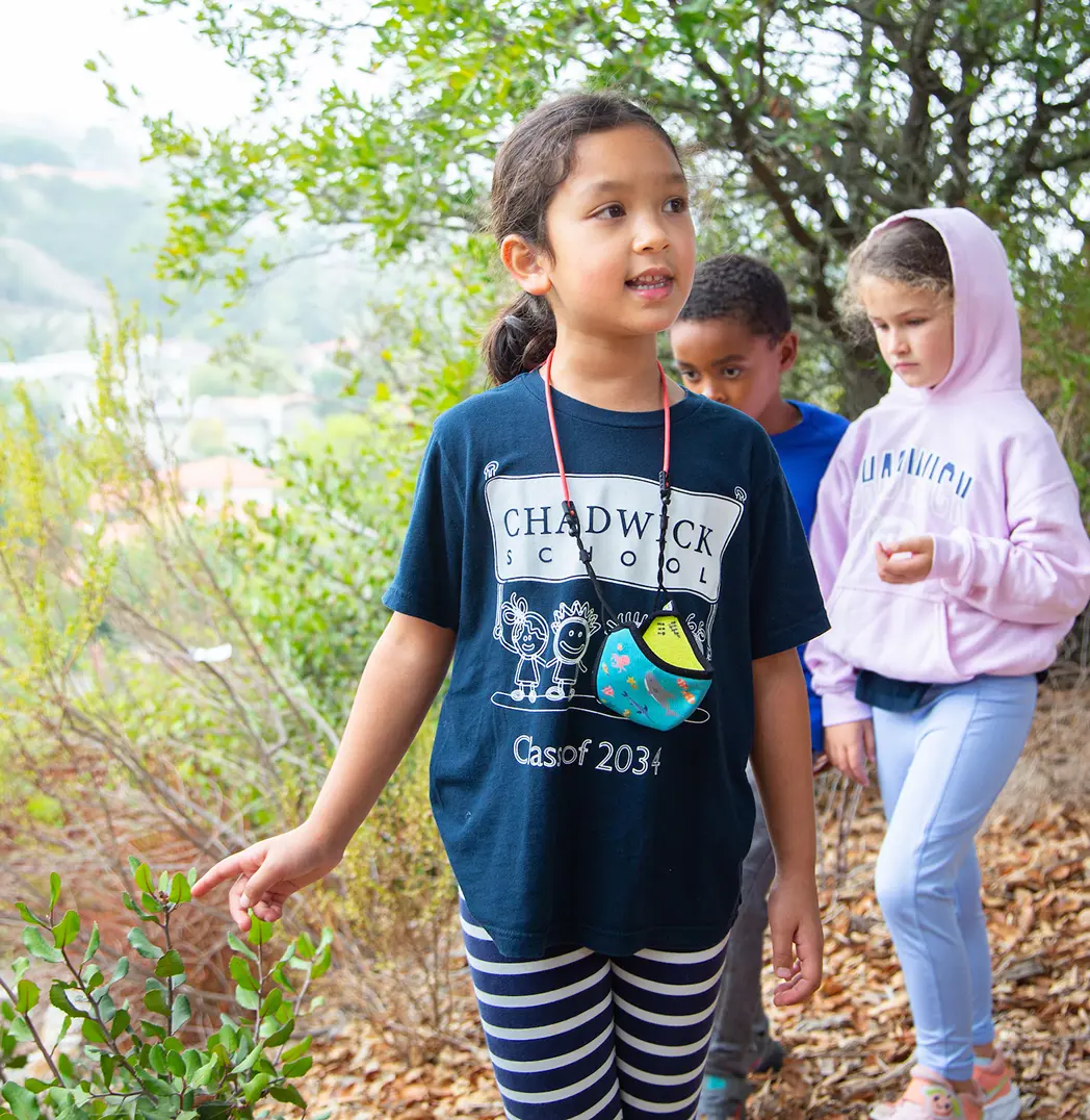 Students walking through woods with curious looks on their face